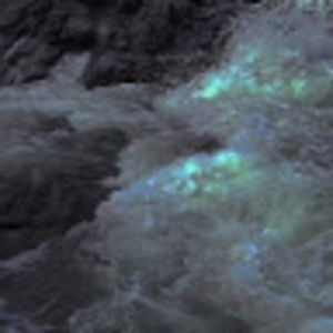 Meet your Posher, Cheyenne